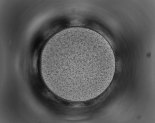 X0000102861150200809081300