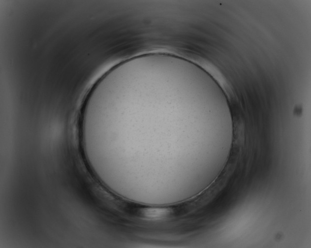 X0000102861151200809081300