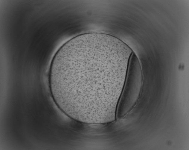 X0000102861152200809081300