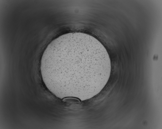 X0000102861153200809081300