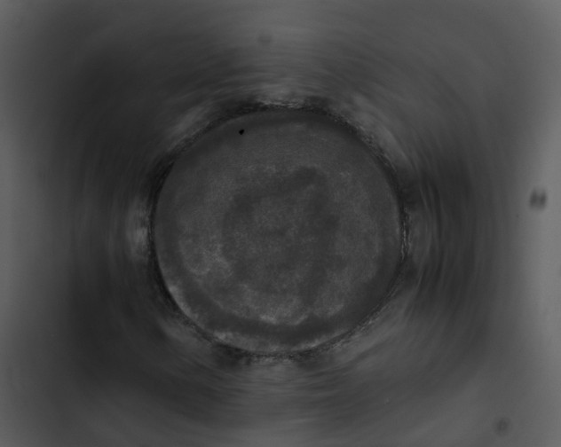 X0000102861154200809081300