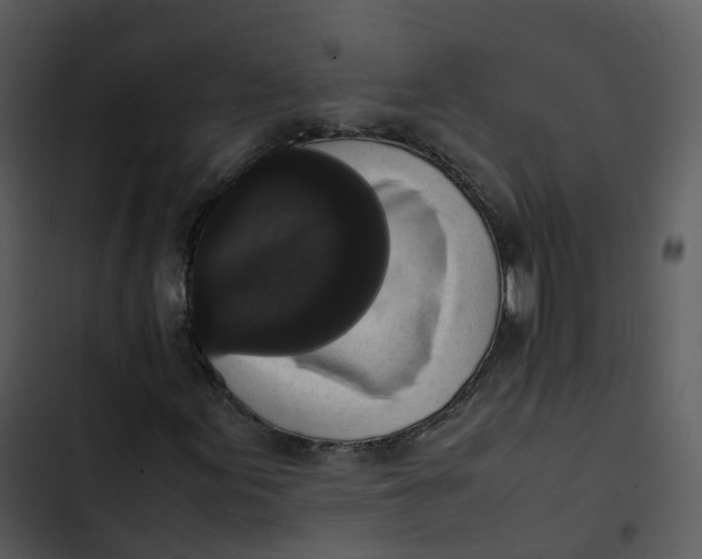 X0000102861155200809081300