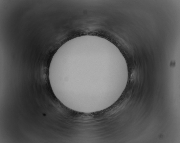 X0000102861156200809081300