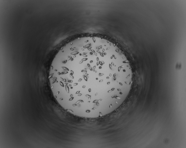 X0000102861158200809081300