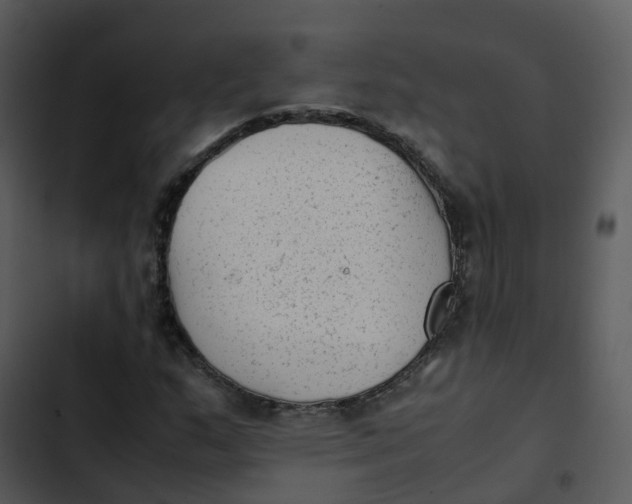 X0000102861159200809081300