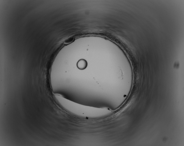 X0000102861161200809081300