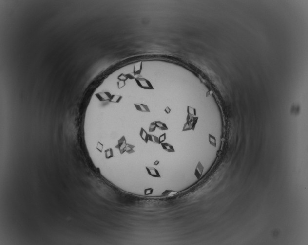 X0000102861163200809081300