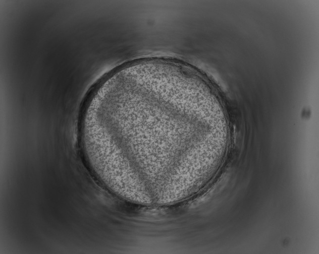 X0000102861165200809081259