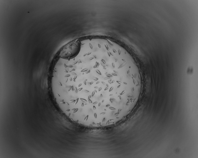 X0000102861166200809081259