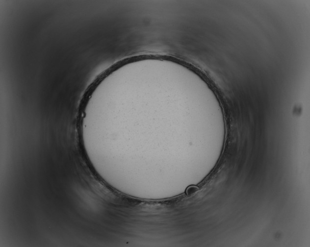 X0000102861168200809081259