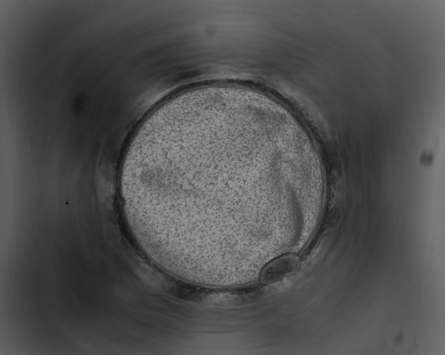 X0000102861169200809081259