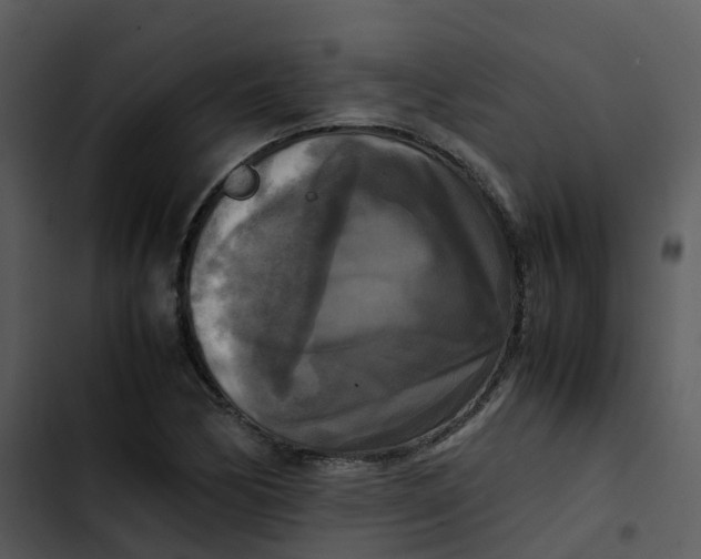 X0000102861170200809081259