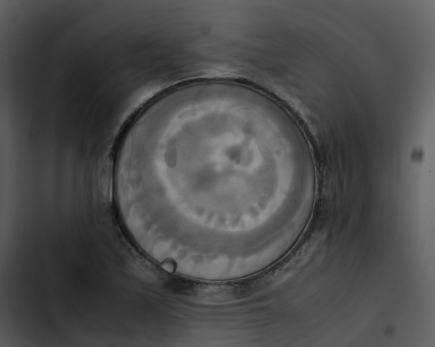 X0000102861171200809081259