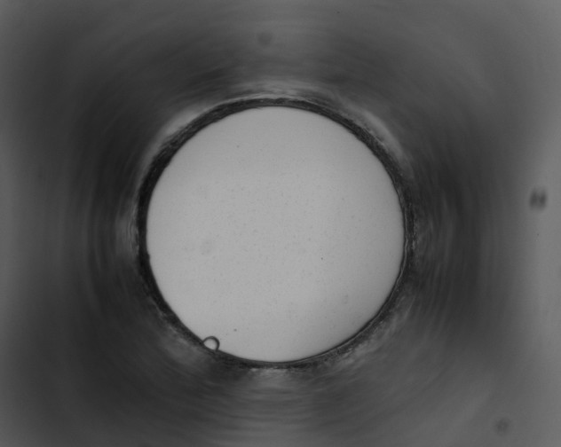 X0000102861172200809081259