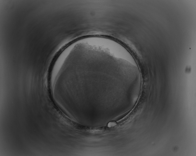 X0000102861173200809081259