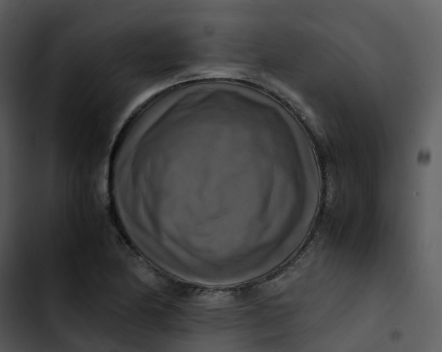 X0000102861174200809081259