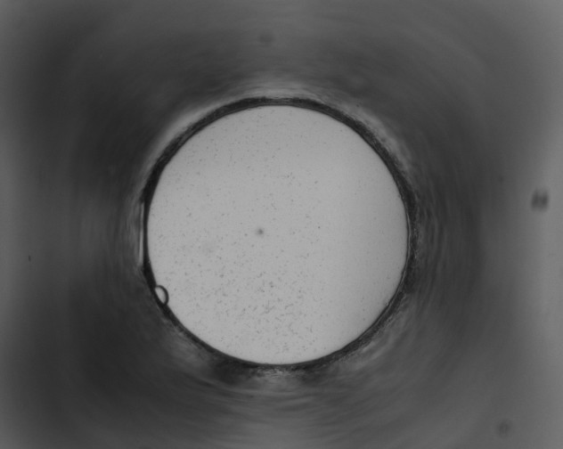 X0000102861175200809081259