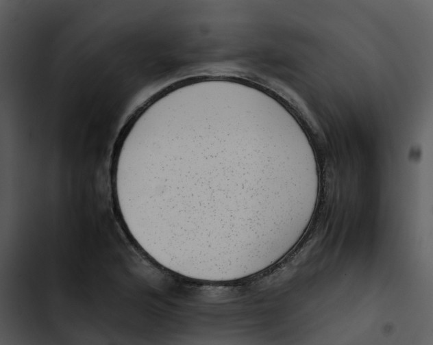 X0000102861176200809081259