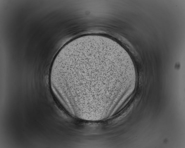 X0000102861177200809081259