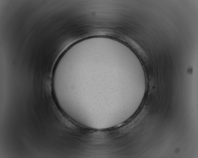 X0000102861178200809081259