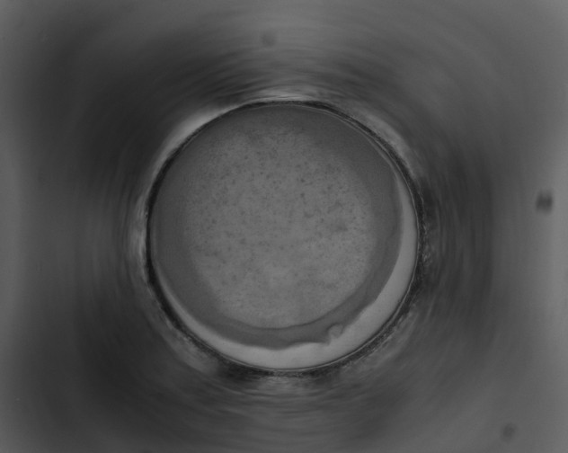 X0000102861179200809081259