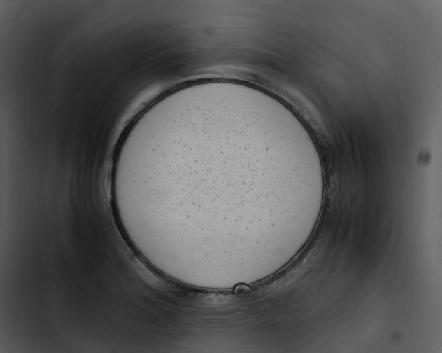 X0000102861180200809081259