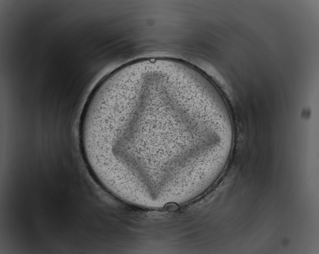 X0000102861181200809081259