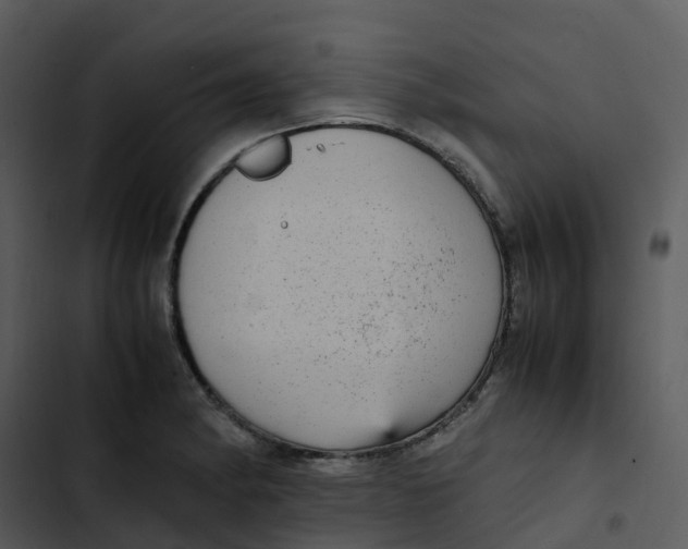 X0000102861182200809081259