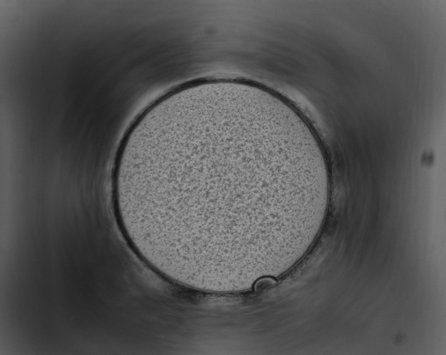 X0000102861183200809081259