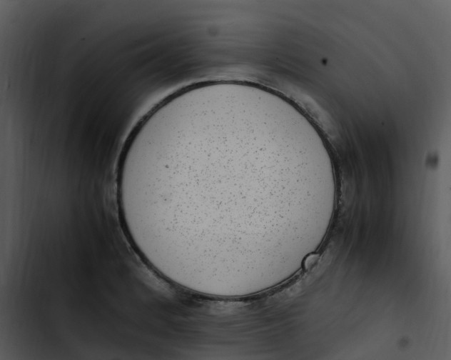 X0000102861184200809081259