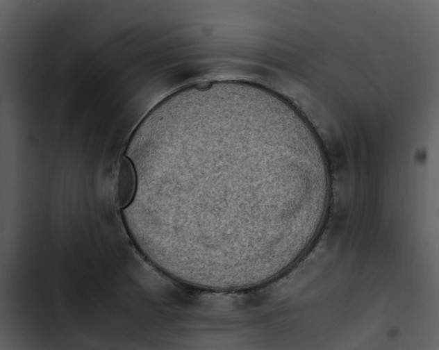 X0000102861185200809081259