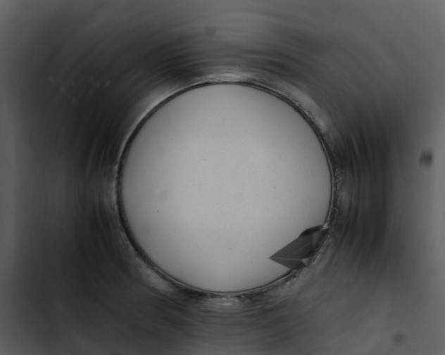 X0000102861186200809081259