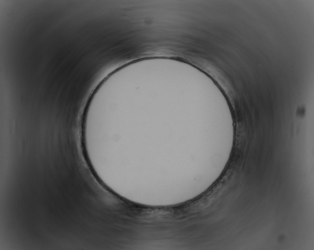 X0000102861187200809081259