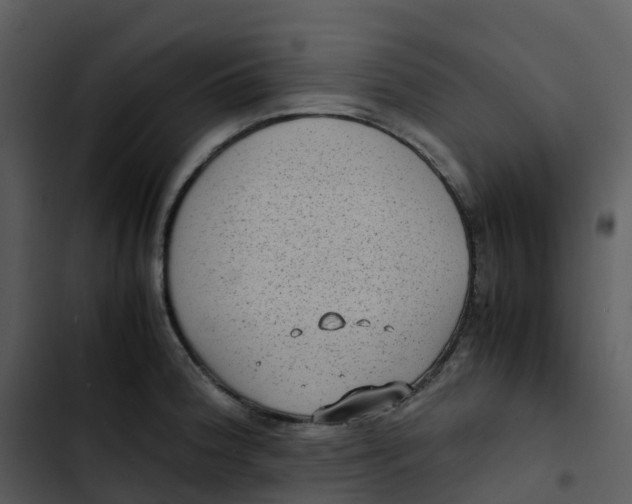 X0000102861188200809081259