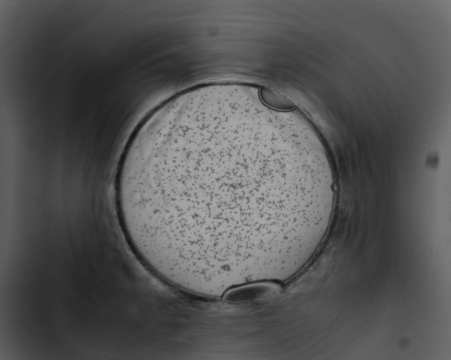 X0000102861189200809081259