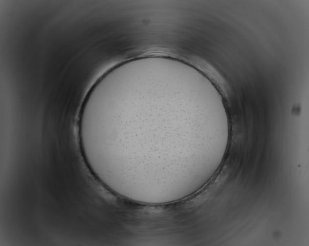 X0000102861190200809081259