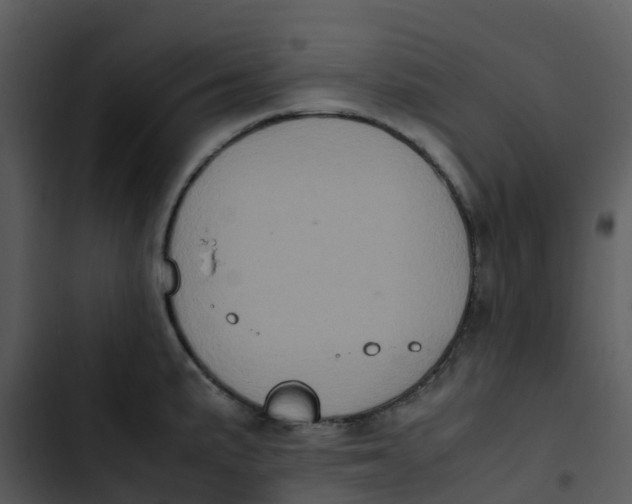 X0000102861191200809081259