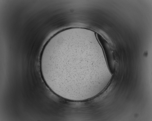 X0000102861192200809081259