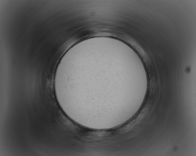 X0000102861193200809081259