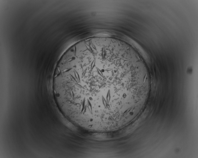 X0000102861194200809081259