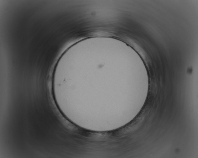 X0000102861195200809081259