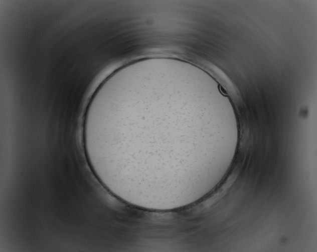 X0000102861196200809081259