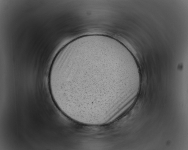 X0000102861197200809081259