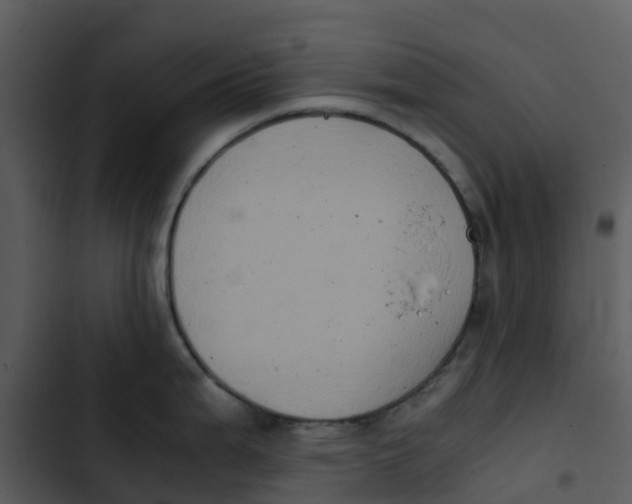 X0000102861199200809081259