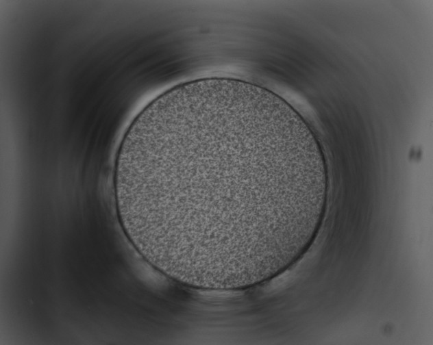 X0000102861200200809081259