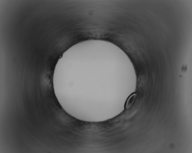 X0000102861202200809081258