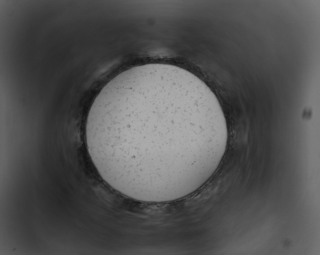 X0000102861205200809081258