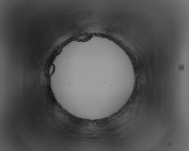 X0000102861207200809081258