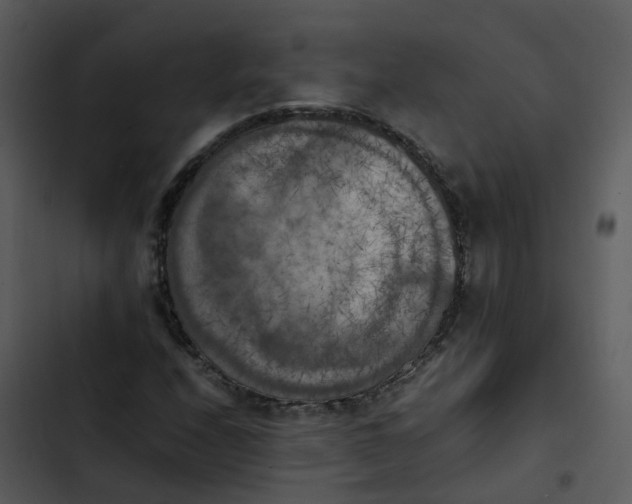 X0000102861208200809081258