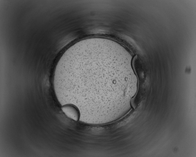 X0000102861209200809081258